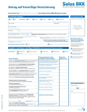 Fillable Online Bazlen K Deruntimepartnerantrag Auf Freiwillige