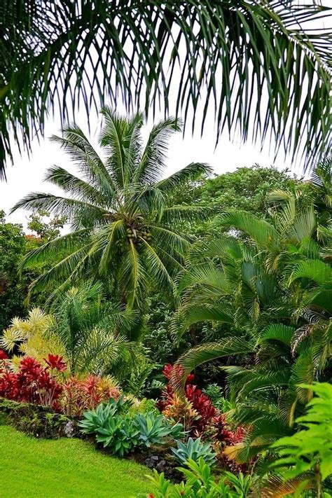 25 Tropical Outdoor Design Ideas Decoration Love