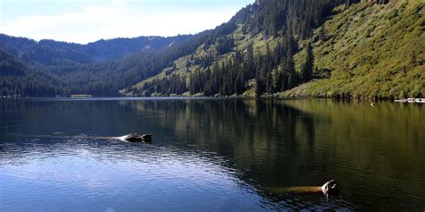 Heather Lake Trail | Outdoor Project