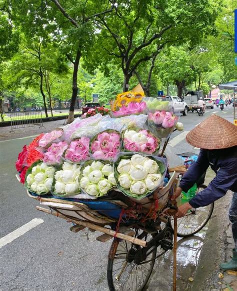 下龙市可以在哪办越南双认证（办越南双认证流程）—有困难找华越