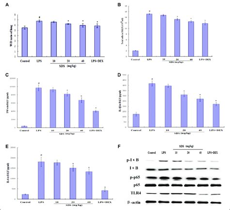 Effects Of Salidroside Sds On The Lung Wet Dry W D Ratio Of