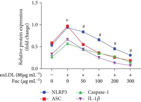 Fucoidan Reduces Lipid Accumulation And Inhibits Nlrp Inflammasome