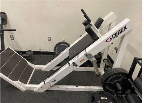 Cybex Machine Plate Loaded Hack Squat Allsurplus