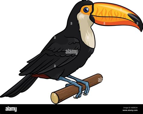 Toucan cartoon hi-res stock photography and images - Alamy