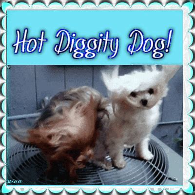 Hot diggity dog!