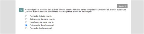 A Neurula O O Processo Pelo Qual Se Forma O Sistema Nervoso Sendo