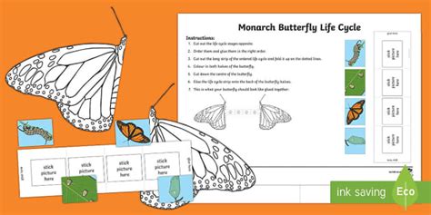 Monarch Butterfly Life Cycle Mobile Teach Beside Me Worksheets Library