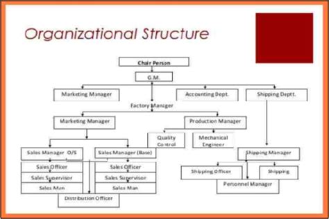 Coca Cola Organizational Structure Chart