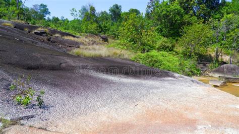 mountain rock surface  sloping plane  tropical forest