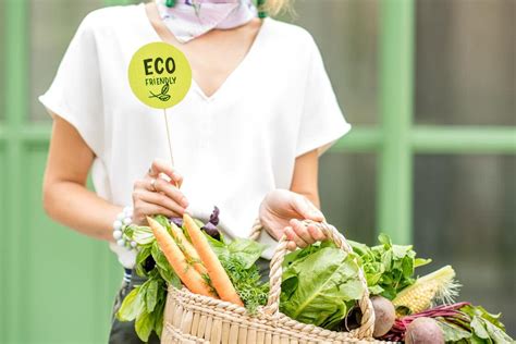 Ejemplos De Productos Ecológicos Para Un Estilo De Vida Sostenible