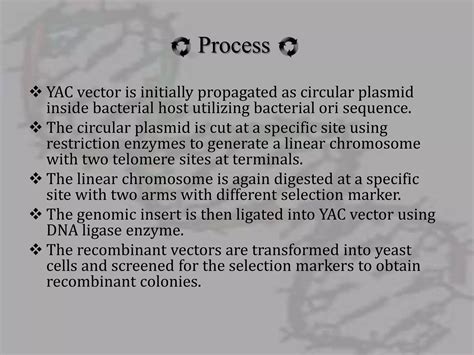 Artificial Chromosomes Yac And Bac Ppt