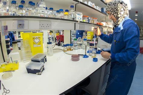 Synthetic Biology Lab Stock Image C Science Photo Library