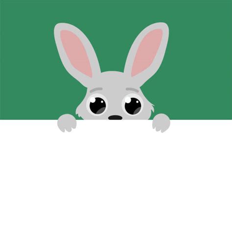 Curious Rabbit Illustrations Royalty Free Vector Graphics And Clip Art Istock