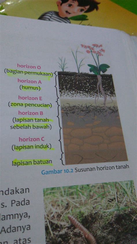 Detail Gambar Struktur Lapisan Tanah Koleksi Nomer 54