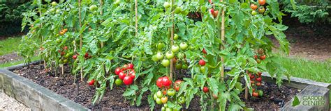 Organic Gardening 101 At Menards