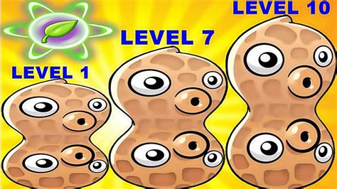 Pea Nut Pvz2 Level 1 7 10 Max Level In Plants Vs Zombies 2 Gameplay