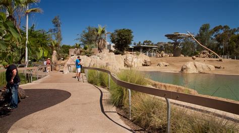 Visit San Diego Zoo In San Diego Expedia