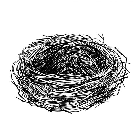 Premium Vector Sketch Hand Drawn Birds Nest Empty Nest Made Of