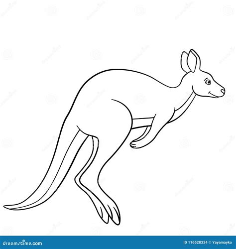 Kangaroo And Joey Coloring Page Coloring Pages