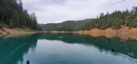 Whiskeytown Lake Fish Report Whiskeytown Lake Doubles Triples Quads