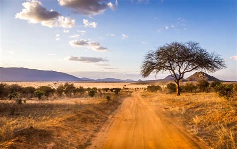 Expat Guide To Living In Kenya