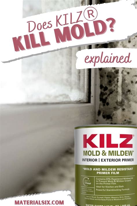 Does KILZ Kill Mold and Mildew? (Explained) - MaterialSix