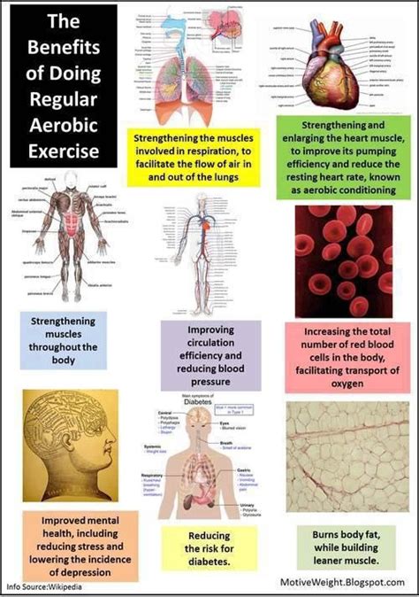 Benefits Of Exercise: Benefits Of Exercise With Asthma