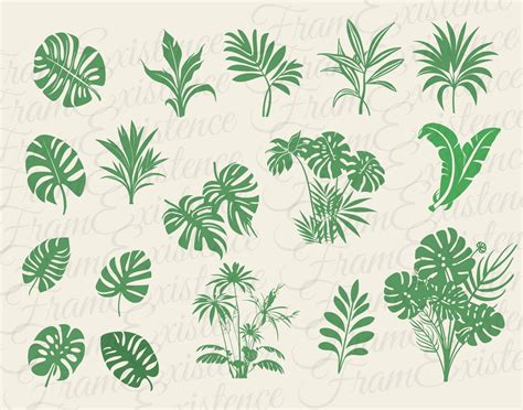 Tropical Plants Svg Bundle Tropical Leaves Svg Monstera Leaf Etsy