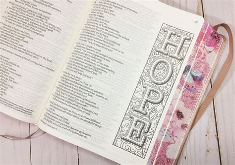 NLT Inspire Catholic Bible Review Bible Buying Guide