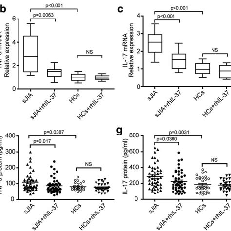 Il 37 Inhibited The Expression Of Inflammatory Cytokines In Pbmcs From