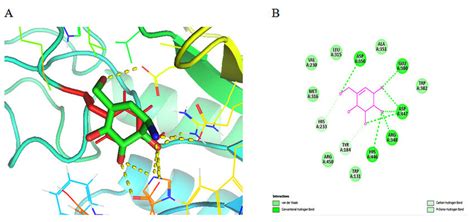 Overlapping Structure Of Co Crystallized Ligand And Re Docked Ligand