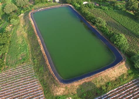 Farm Pond Construction – Naam Foundation