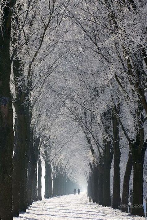 Tree Lined Winter Path By On Flickr Winter Scenes