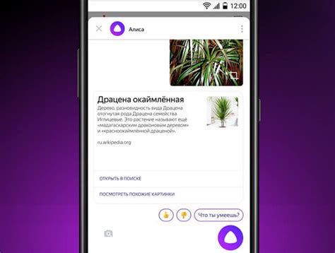 Алиса найди исполнителя песни