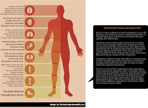 Download Hd Human Body Infographic Template Transparent Png Image