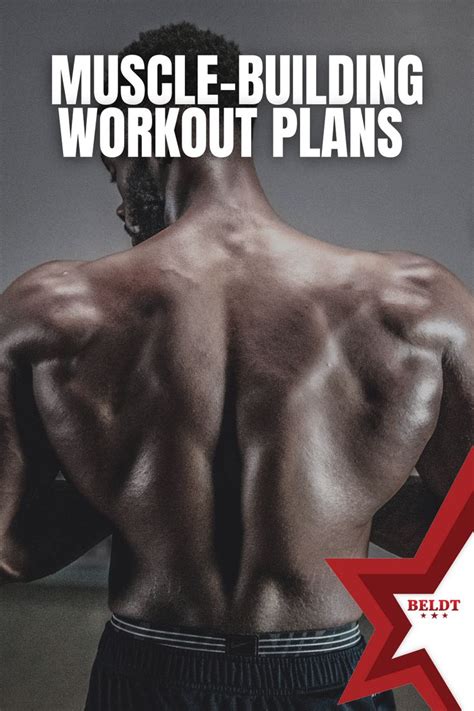 We Have Several Workout Routines For You To Consider When Building Your