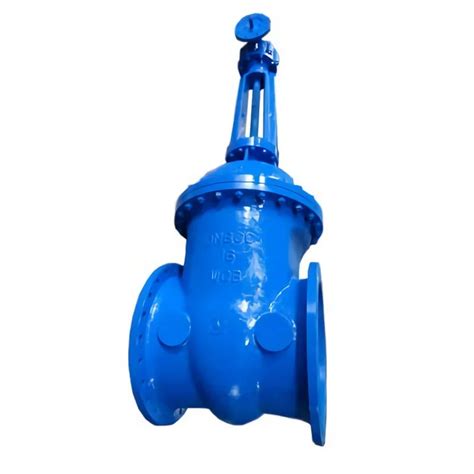 Rising Stem Parallel Single Disk Gate Valve Fcvalves