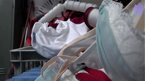 Asian Hentai Search XVIDEOS