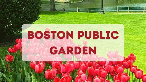 Boston Public Garden: How to Enjoy Your Time - Day Trip Queen