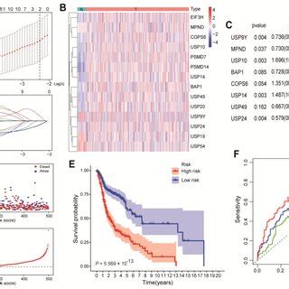 Extraction Of The Prognostic Signature Of DAGs In HNSCC And