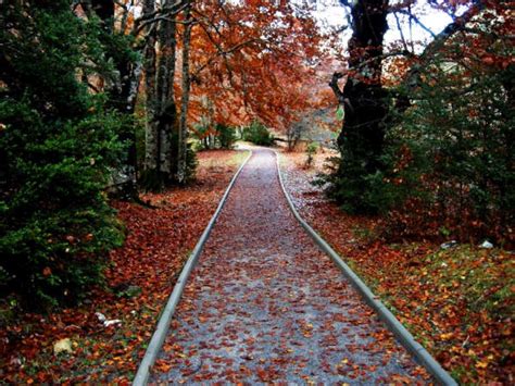 Bosques Aragoneses Para Pasear Este Oto O Turismo De Arag N