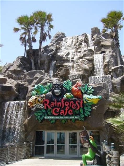 Rainforest Cafe, Galveston - Menu, Prices & Restaurant Reviews ...