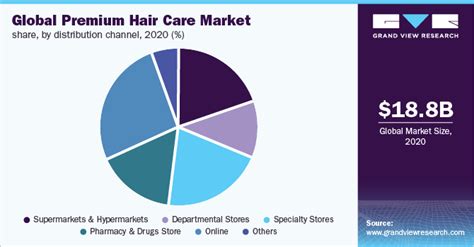 Premium Hair Care Market Size Report