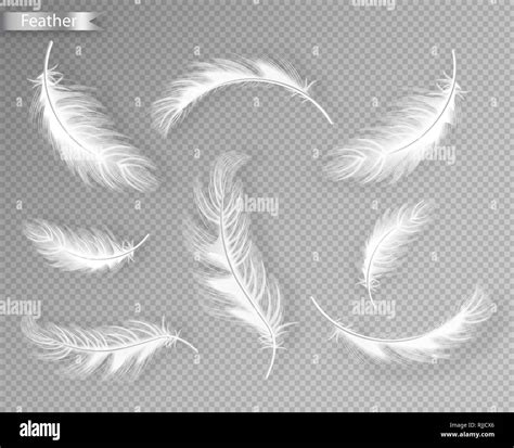 White Feathers Set Collection Vector Realistic Different Falling