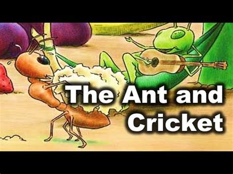 English Moral Stories Short Stories The Ant And Cricket YouTube