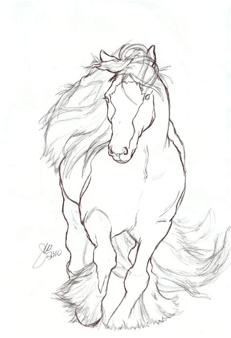 Easy Drawing Of Horse At Getdrawings Free Download