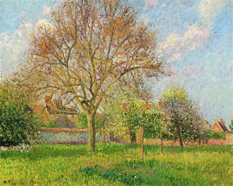 The Large Walnut Tree In Eragny Afternoon Painting By Camille Pissarro