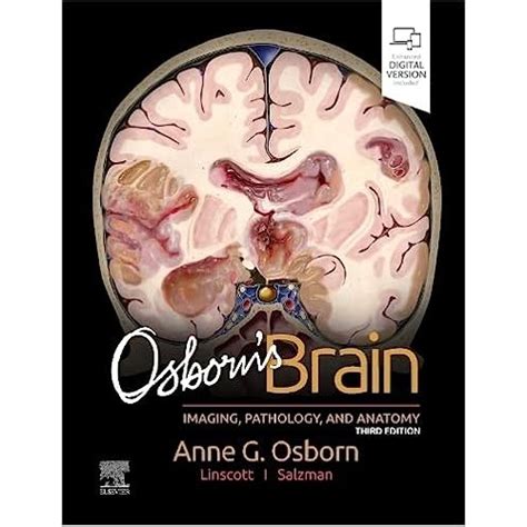 Osborn's Brain 3rd Edition Pdf Telegram