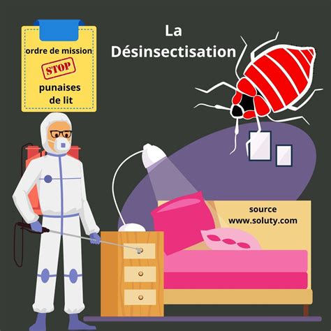 Punaises De Lit Paris 20e Société Traitement Agréé 75020 Soluty