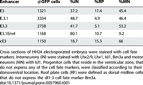 Quantification Of Gfp Labeled Neurons Download Table